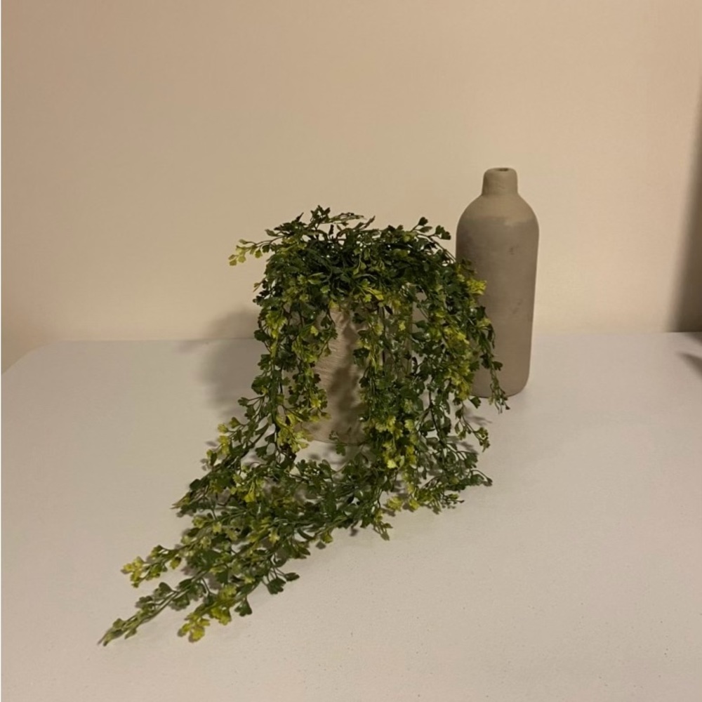 Green fern decorations